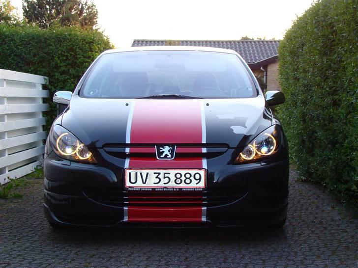 Peugeot 307 MS SPORT billede 1