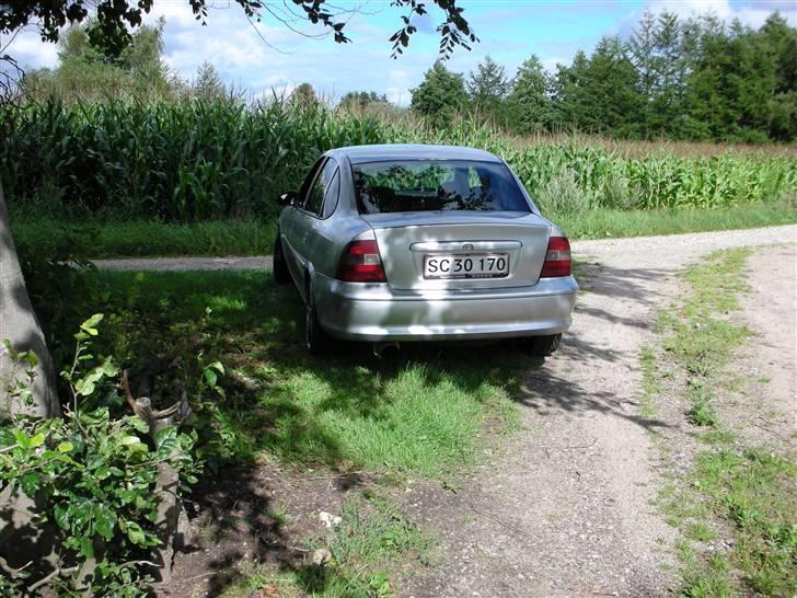 Opel Vectra b  (SOLGT) billede 5