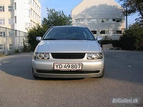 VW Polo billede 6