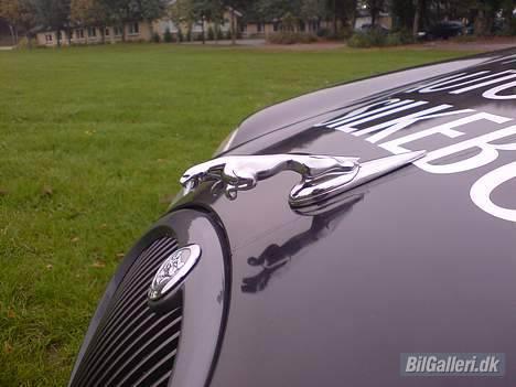 Jaguar S-Type "Taxi" "Solgt" - Katten på fronten, eftermonteret. Kan ikke fåes original. Men pil ved den, og du får blå øjne billede 14