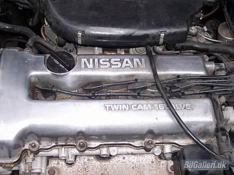 Nissan primera billede 15