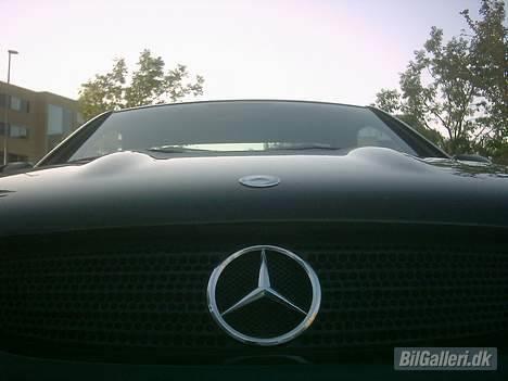 Mercedes Benz SLK    solgt billede 9