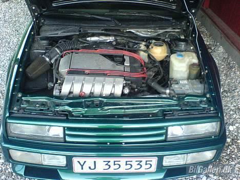 VW Corrado VR6 3,1 liters - Vidunderet! Kendere vil kunne se at den ikke ligner en alm VR6... ;-) billede 7