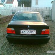 BMW 323i (SOLGT)