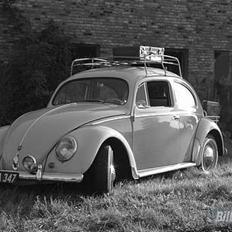 VW vw type 1