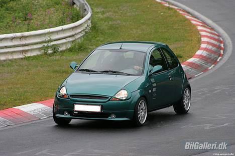 Ford Ka Kult - Nordschleife 2005 billede 13