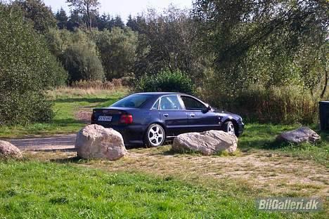 Audi A4 billede 8