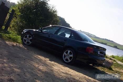 Audi A4 billede 14