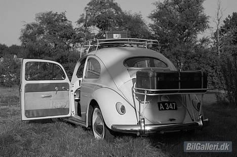 VW vw type 1 billede 2