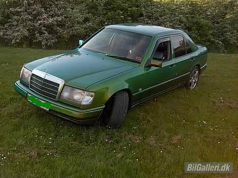 Mercedes Benz 250 D ***Kamelionfarve*** billede 9