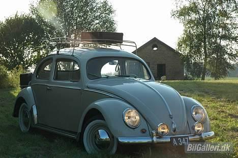 VW vw type 1 billede 11