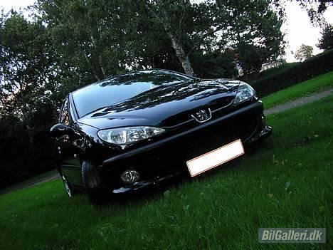 Peugeot 206 GTi billede 2