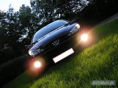 Peugeot 206 GTi billede 9