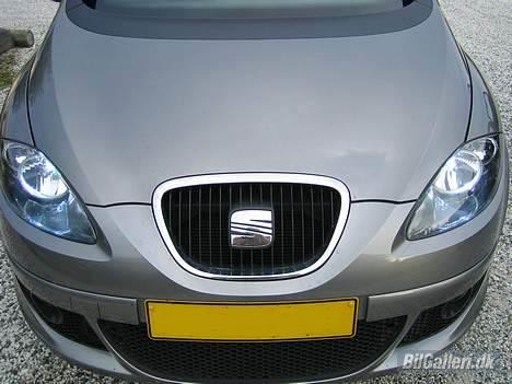 Seat Altea - EGO ØSEN;O) - 6000 K i daglys  billede 15