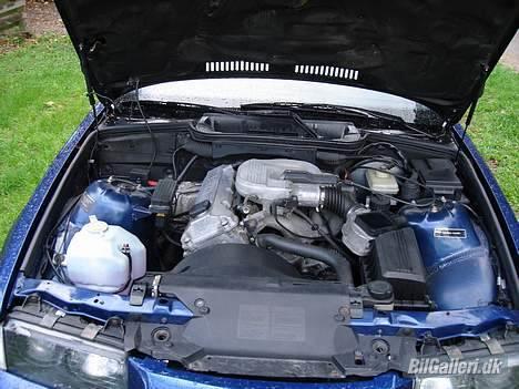 BMW 318i Cabriolet *Til salg* billede 6