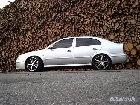 Skoda octavia 1,8t Solgt - Hun er nu meget sød billede 3