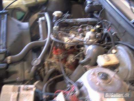 Volvo 240 GLT billede 12