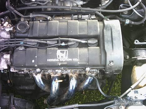 Honda Civic (SOLGT) billede 6