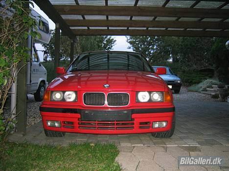BMW 320 I - Inden bilen blev gjort klar til syn, min gamle Coralle står i baggrunde... billede 6