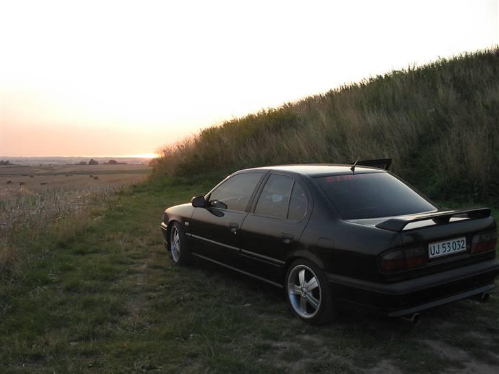 Nissan Primera2.0 Sri/GT (SOLGT) billede 5