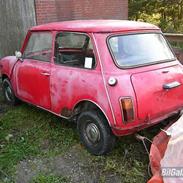 Austin-Morris mascot