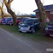 Austin-Morris mascot