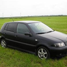 VW Polo 6n2-1,4 16V