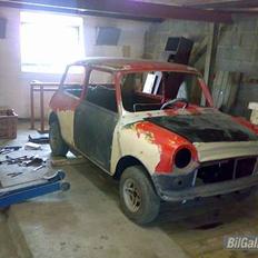 Austin-Morris mascot