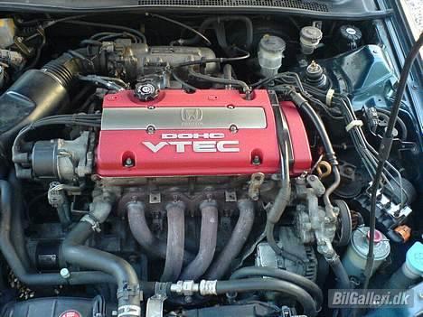 Honda Prelude - Prelude Type S ventildæksel ;-) billede 7