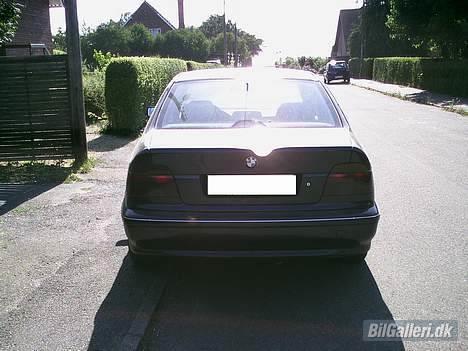 BMW 525 tds billede 2