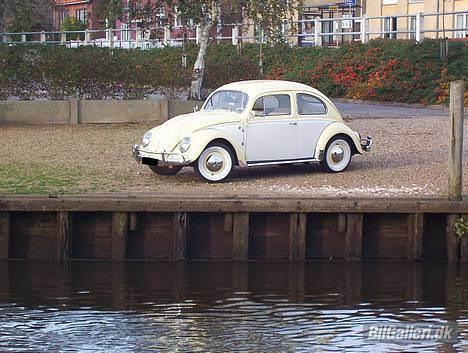 VW Bobbel 1200 DeLuxe billede 2