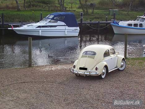 VW Bobbel 1200 DeLuxe billede 4