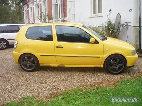 VW Polo billede 6