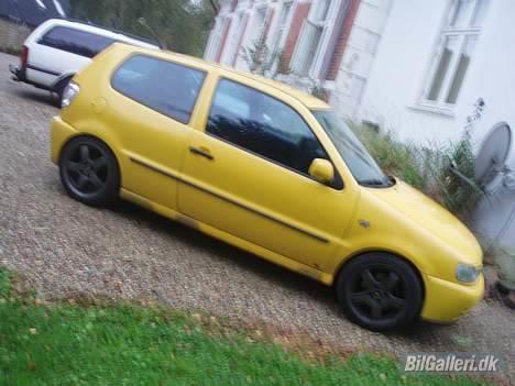 VW Polo billede 7
