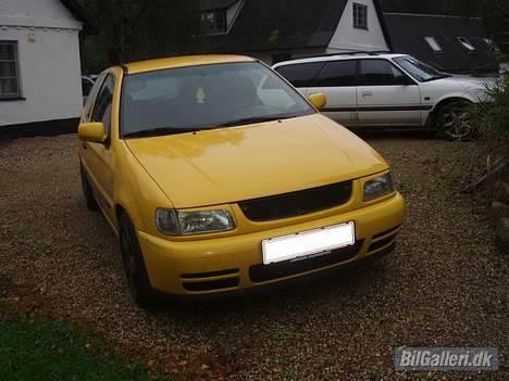 VW Polo billede 8