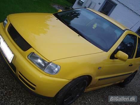 VW Polo billede 11