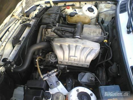 BMW e30  under ombygning - motoren inden ombygning  billede 4