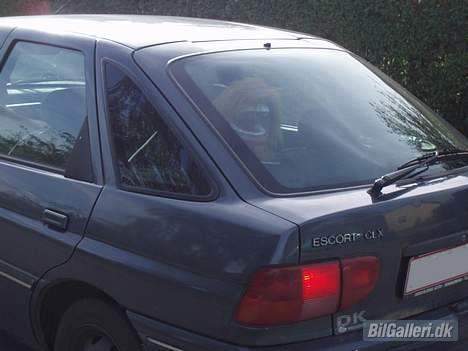 Ford Escort 1,4 clx Solgt! - Yees.. med Brøler i bagruden (: billede 12