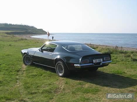 Pontiac firebird formula 455 billede 4