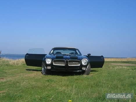 Pontiac firebird formula 455 billede 8