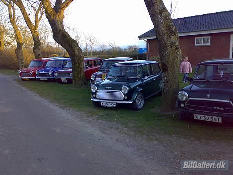 Austin-Morris mascot - lige et billede ude ved fidde.. billede 4