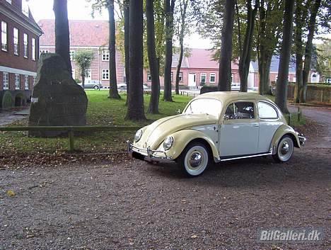 VW Bobbel 1200 DeLuxe billede 11