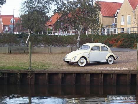 VW Bobbel 1200 DeLuxe billede 12