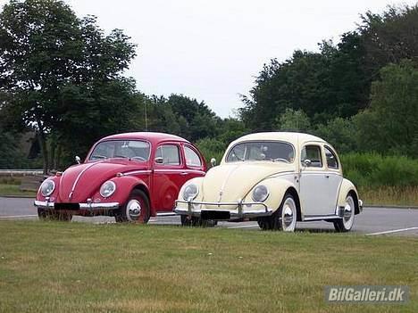 VW Bobbel 1200 DeLuxe billede 13