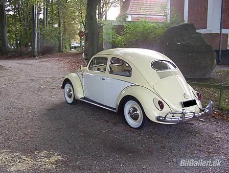 VW Bobbel 1200 DeLuxe billede 14
