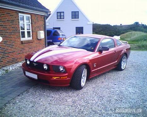 Ford Mustang GT (Solgt) - Mussen som brudepige billede 14