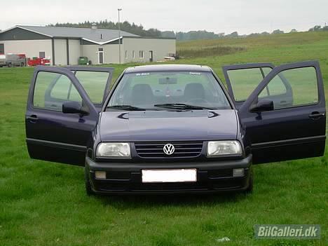 VW "denna edition" (solgt) billede 7