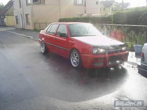 VW vento projekt  død  billede 1