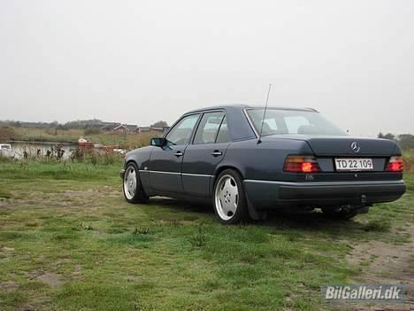 Mercedes Benz W124 300D - Ved fjorden før regnen kom  billede 2