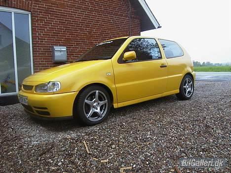 VW polo (gizmo) R.I.P billede 1